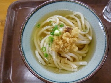 コシのある麺とイリコダシが人気のうどん店 上原屋 本店 香川県高松市