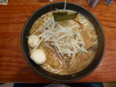 これは珍しい 魚介出汁が効いた背脂味噌ラーメン 麺や来味 新潟県新潟市