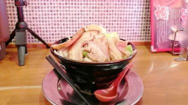 麺家にのみや 静岡市 横浜豚骨ラーメンがおすすめメニュー